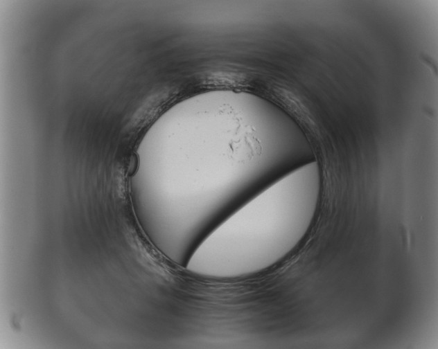 X0000102510457200808081011