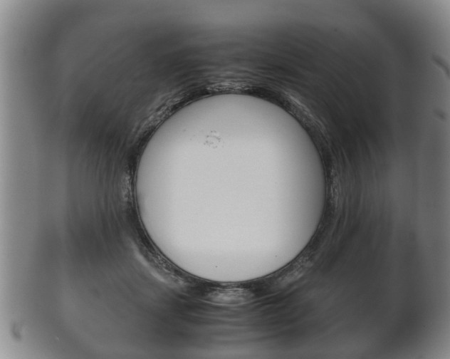 X0000102510459200808081011