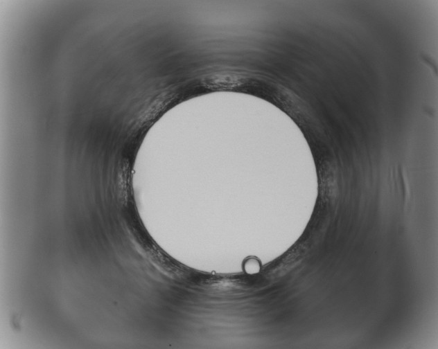 X0000102510460200808081011