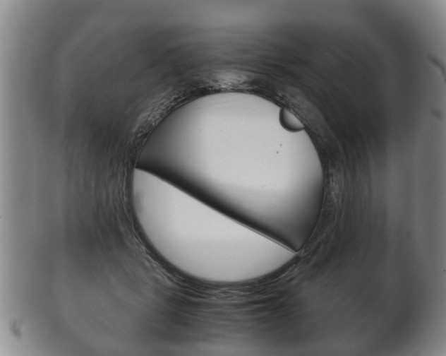 X0000102510461200808081011