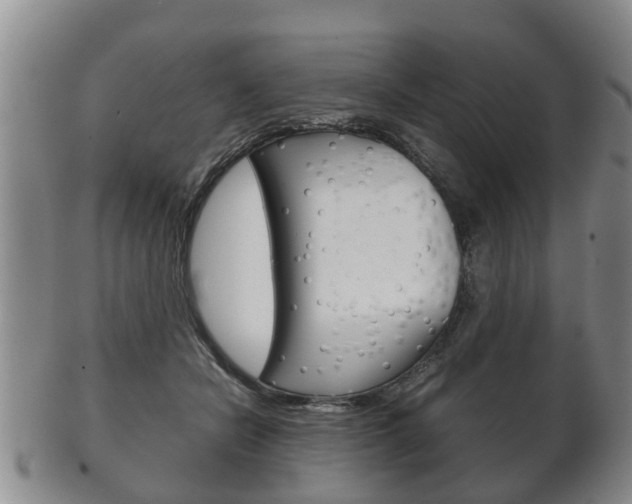 X0000102510462200808081011