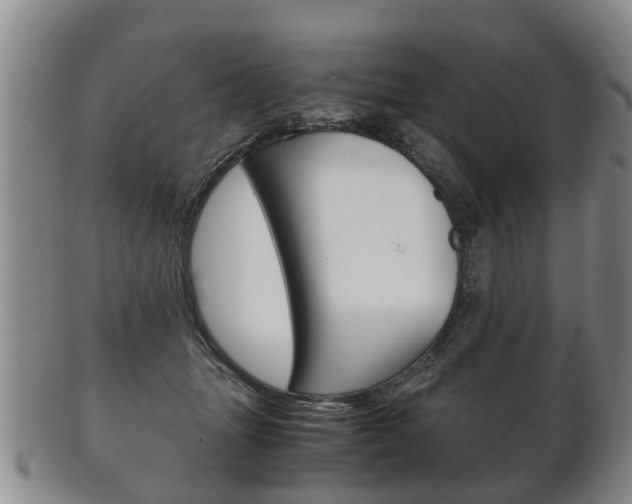 X0000102510463200808081011