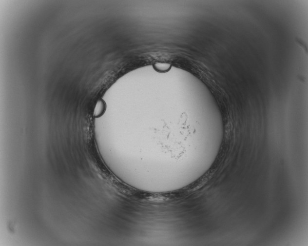 X0000102510464200808081011