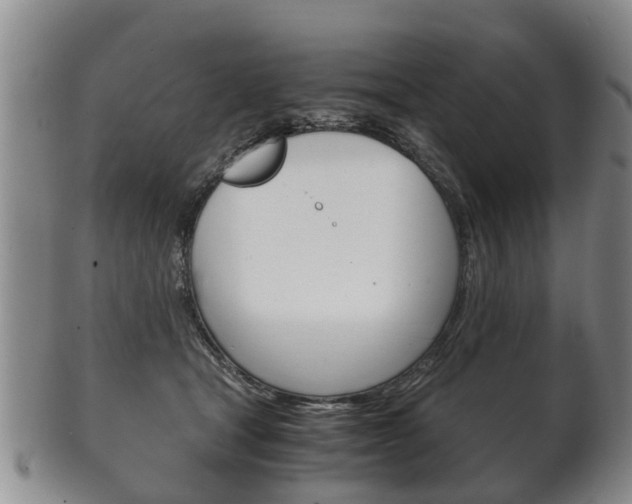 X0000102510465200808081011