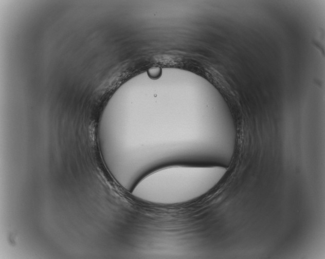 X0000102510466200808081011
