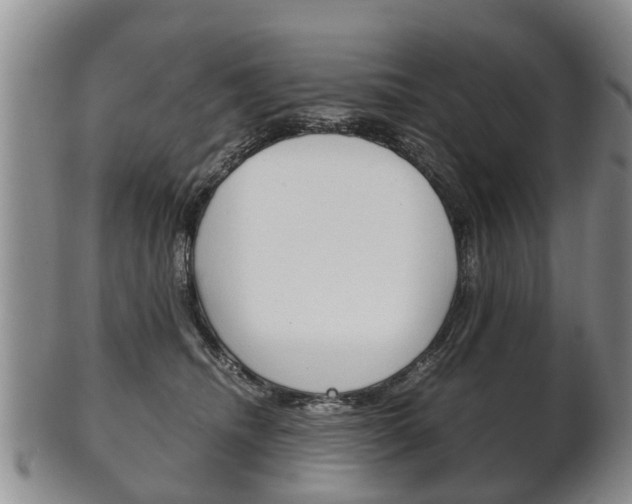 X0000102510468200808081011