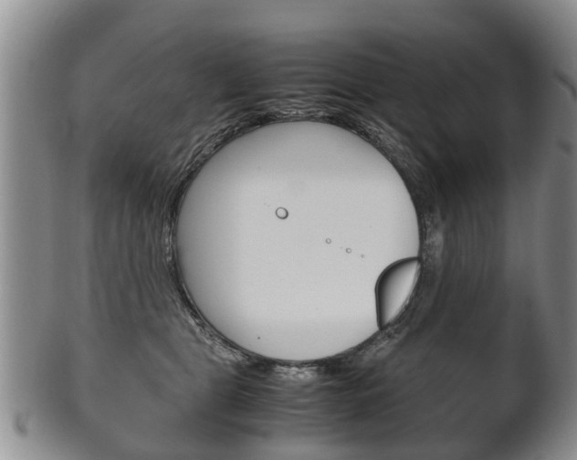 X0000102510469200808081011