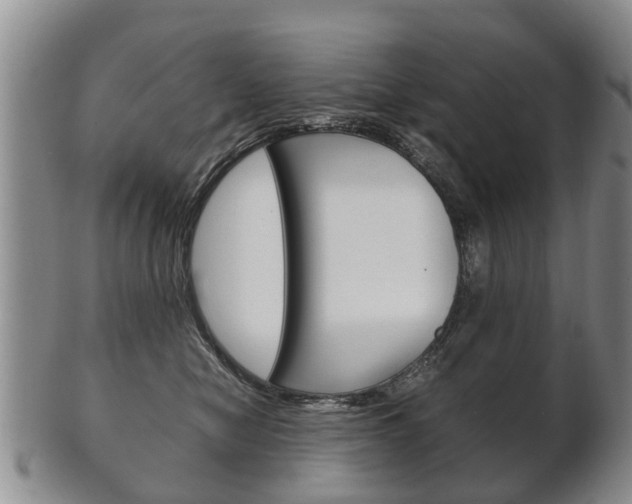 X0000102510470200808081011