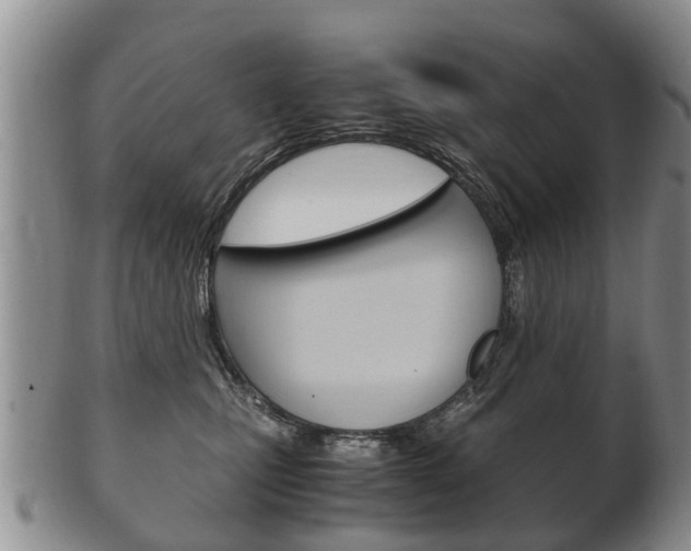X0000102510471200808081011