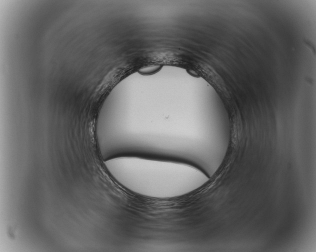 X0000102510473200808081011