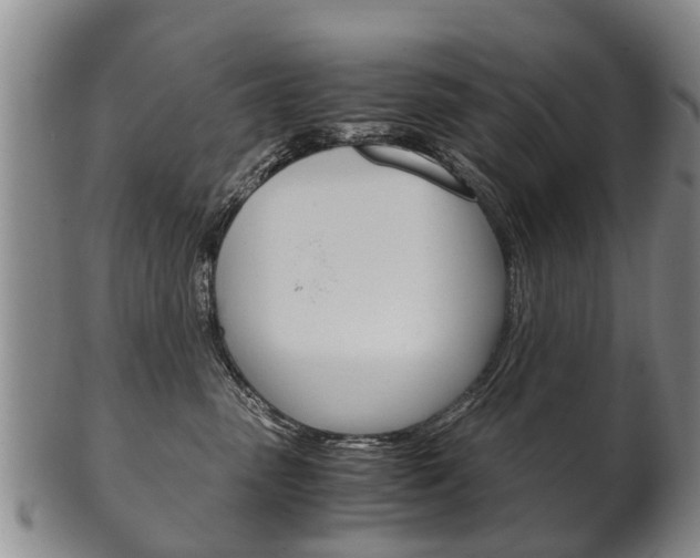 X0000102510475200808081011