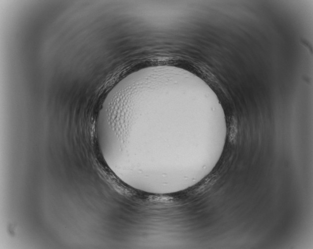 X0000102510476200808081011