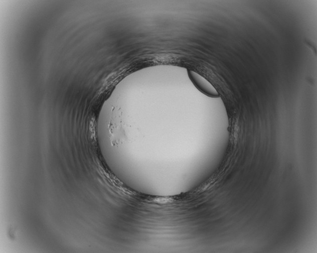 X0000102510478200808081011