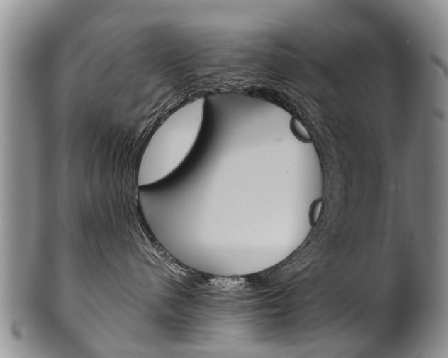 X0000102510480200808081011