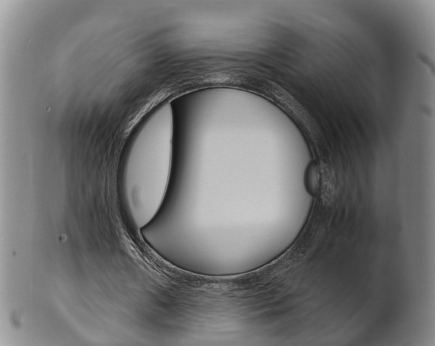 X0000102510482200808081010