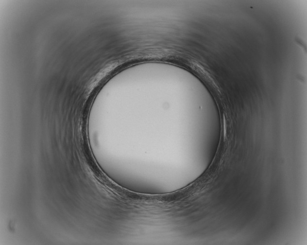 X0000102510483200808081010