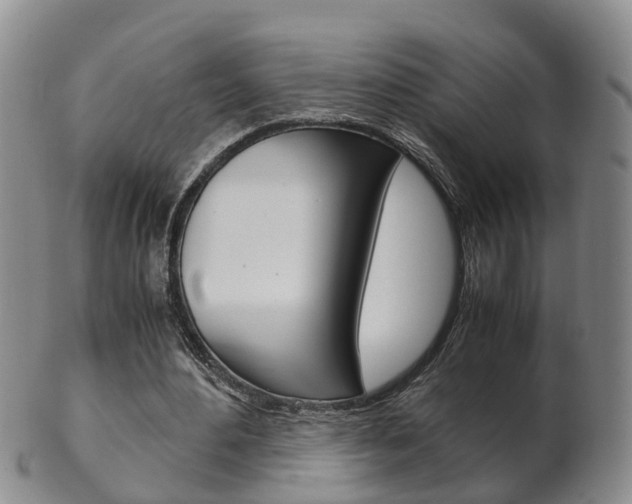 X0000102510484200808081010