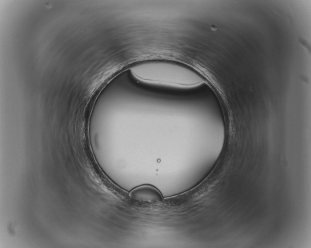 X0000102510485200808081010