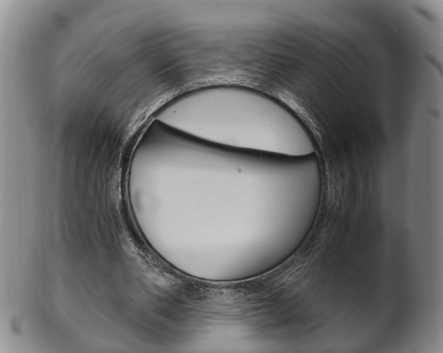 X0000102510486200808081010