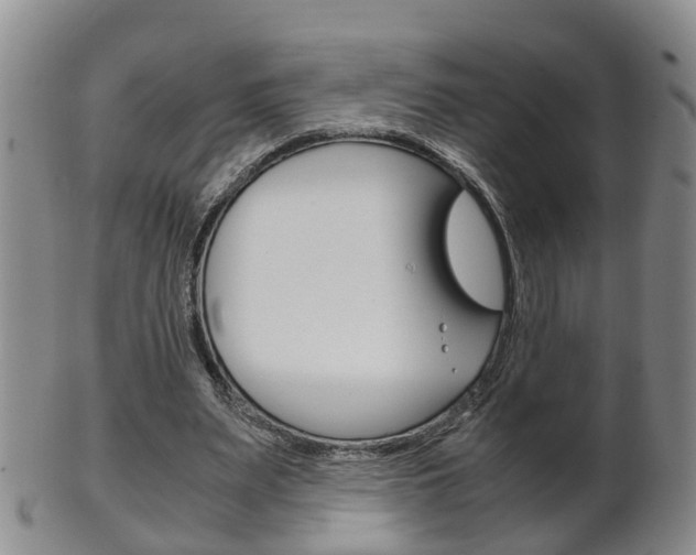 X0000102510487200808081010