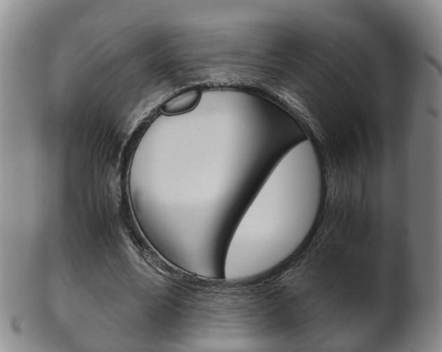 X0000102510488200808081010