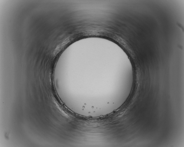 X0000102510489200808081010