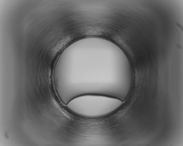 X0000102510490200808081010