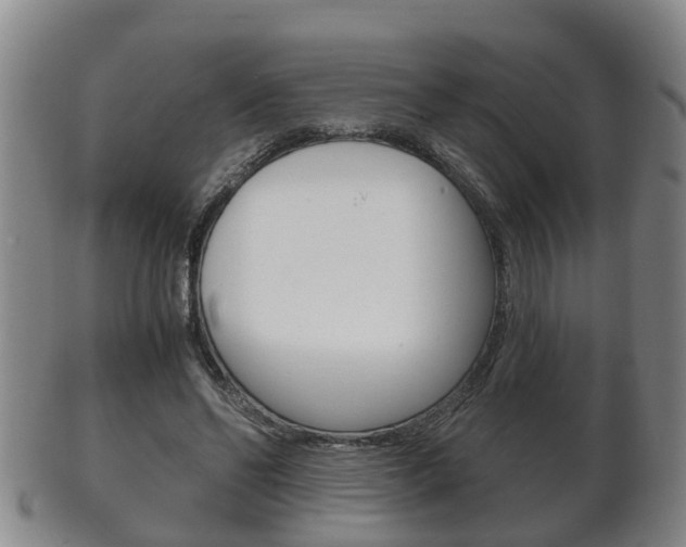 X0000102510494200808081010