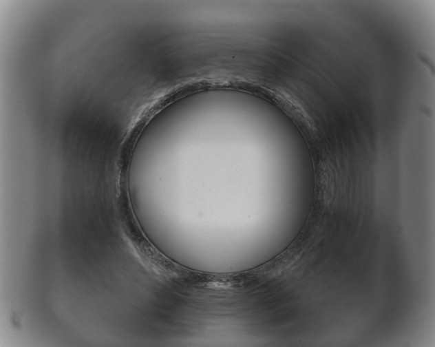 X0000102510496200808081010