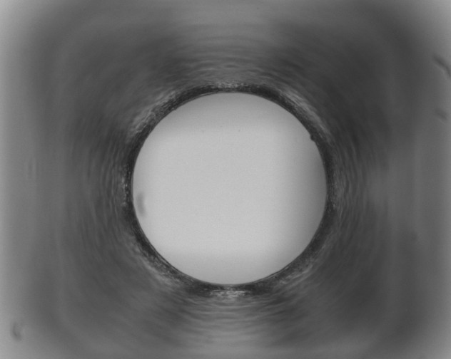 X0000102510497200808081010