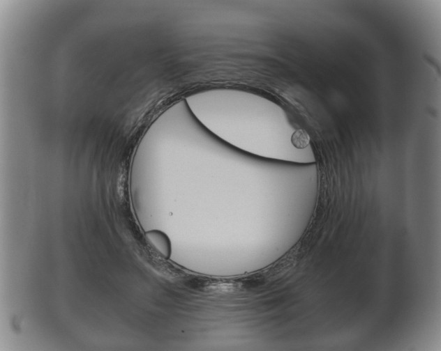 X0000102510499200808081010