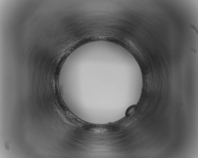 X0000102510500200808081010