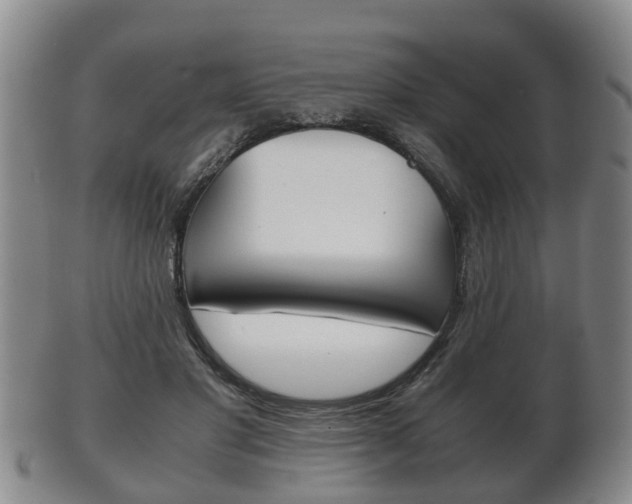 X0000102510501200808081010