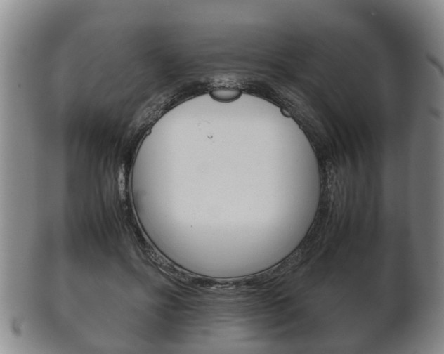 X0000102510502200808081010