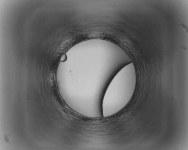 X0000102510503200808081010