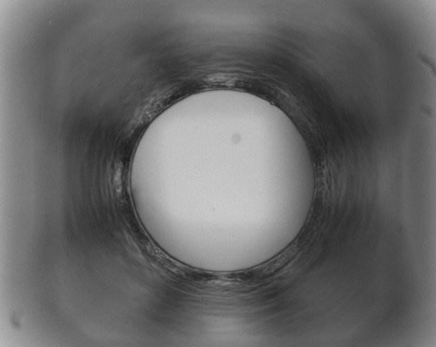 X0000102510504200808081010