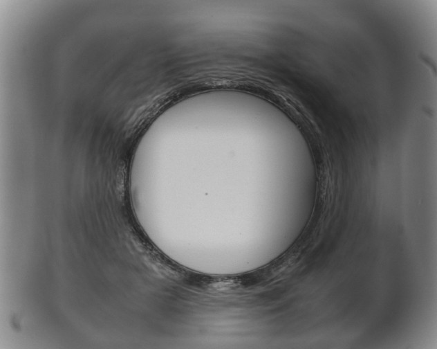 X0000102510505200808081010
