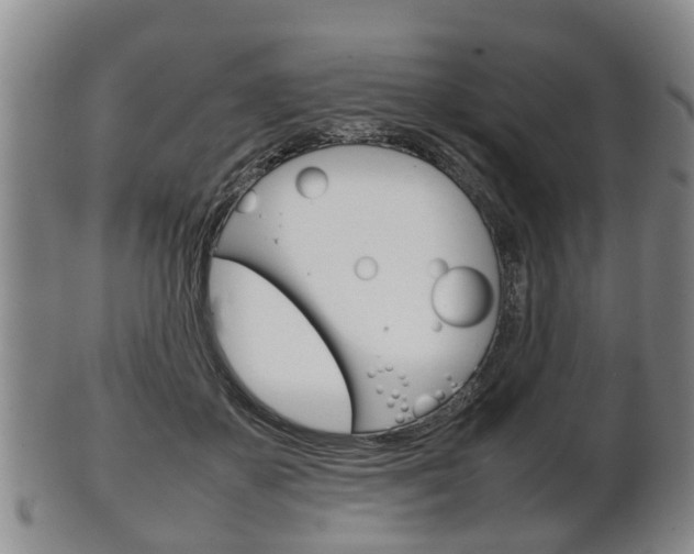 X0000102510507200808081010