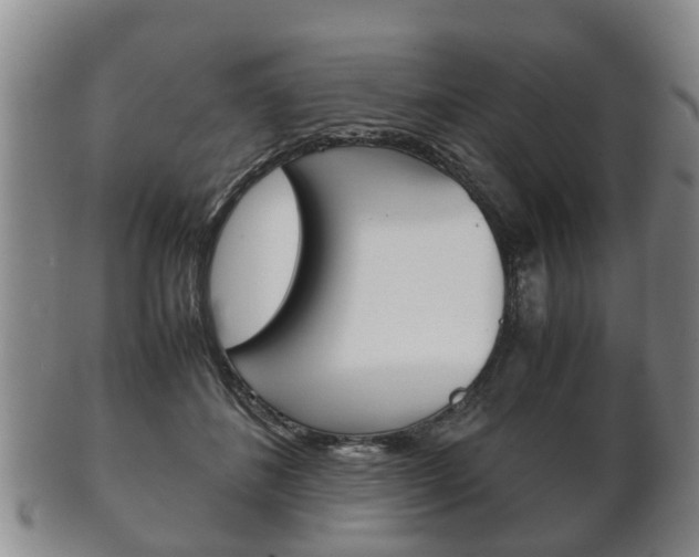 X0000102510508200808081010