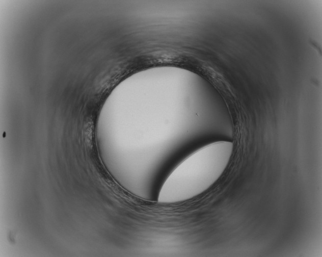 X0000102510509200808081010