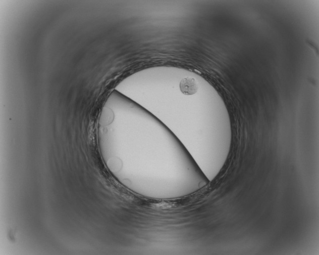 X0000102510511200808081010