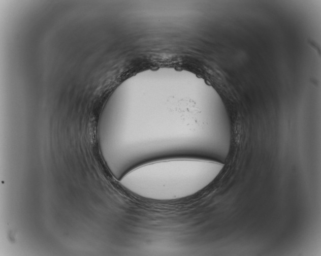 X0000102510515200808081010