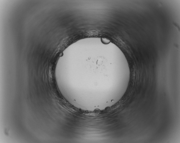 X0000102510516200808081010