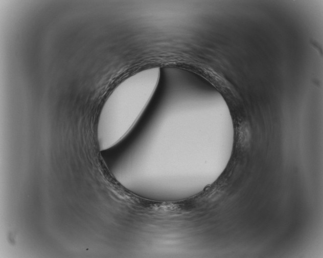 X0000102510517200808081010