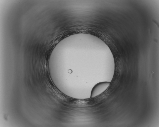 X0000102510518200808081010