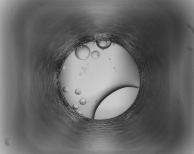 X0000102510519200808081010