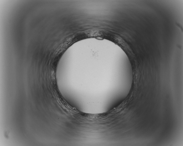 X0000102510521200808081010