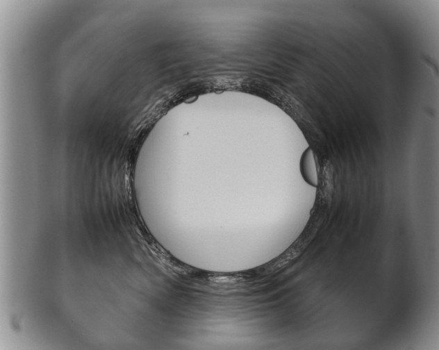 X0000102510522200808081010
