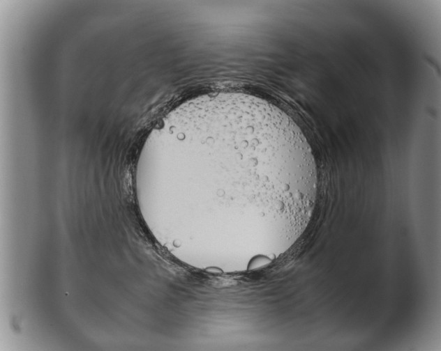 X0000102510523200808081010