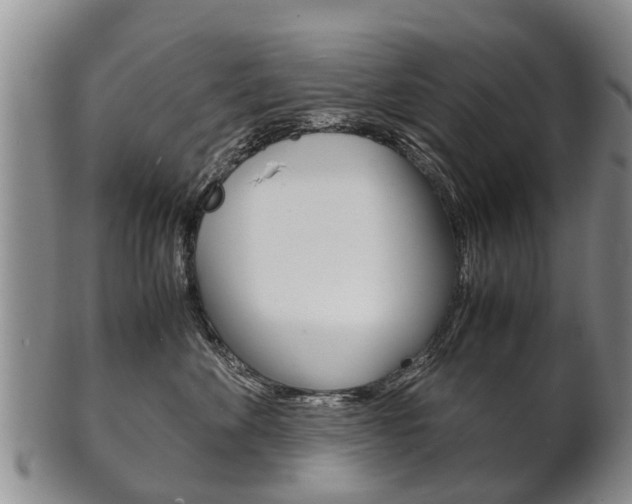 X0000102510524200808081010